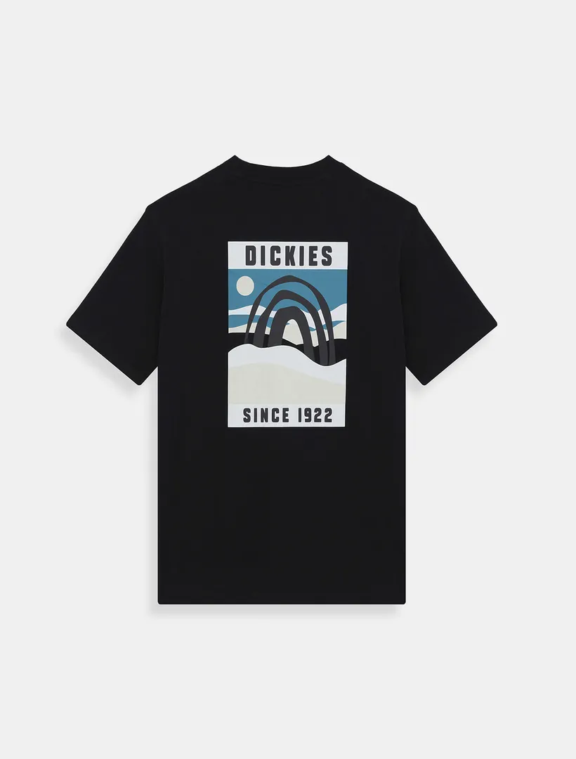 Dickies  |T-Shirts