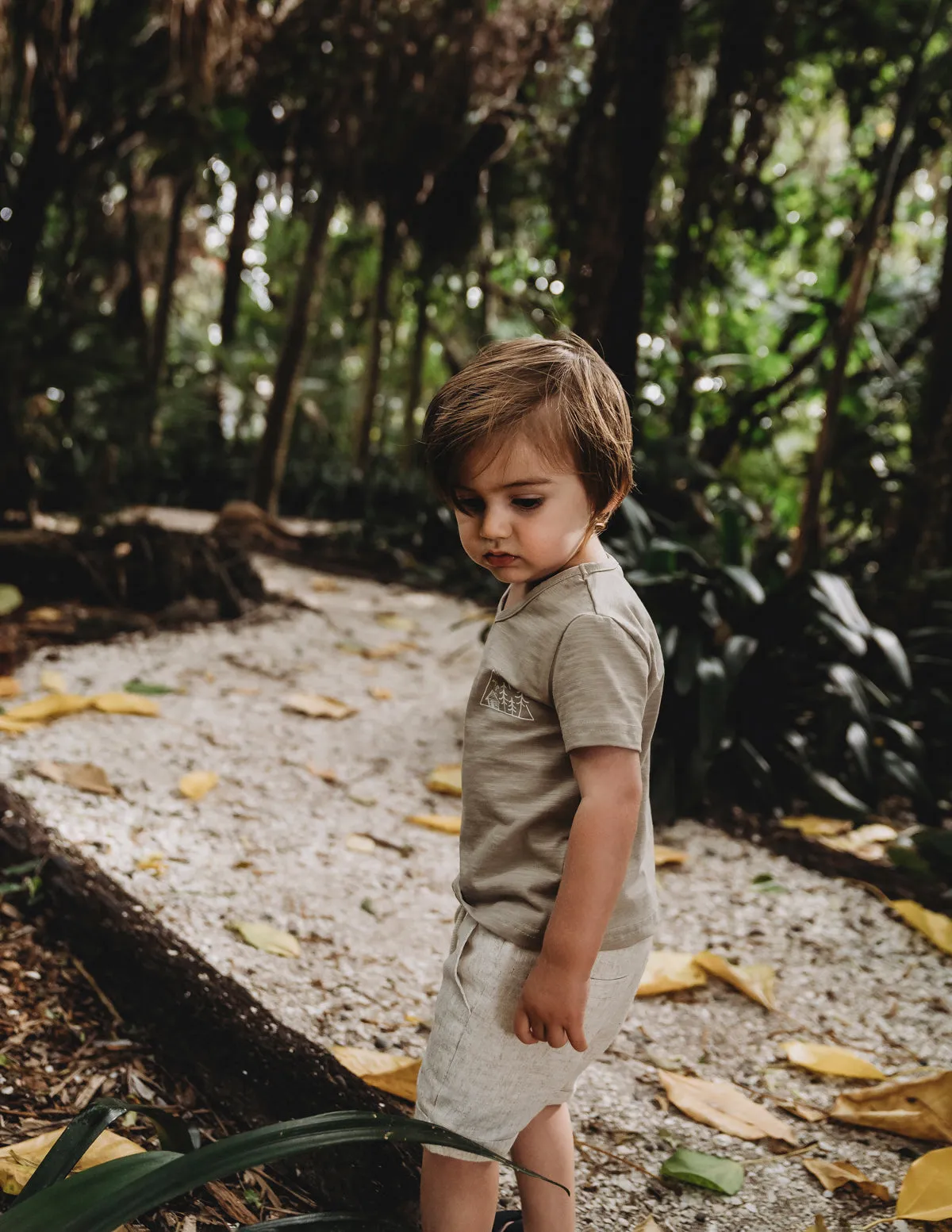 Ollie Boys Shorts - Sand Dune