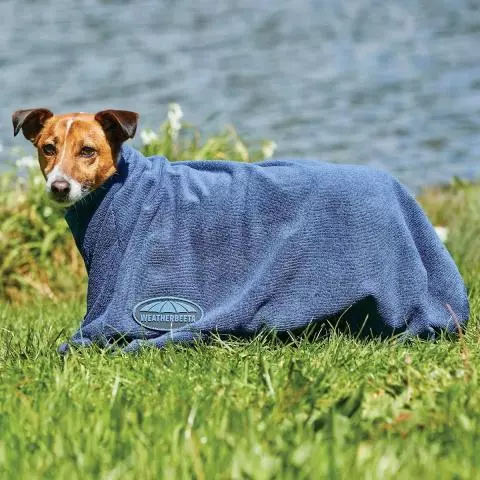 WeatherBeeta Dry-Dog Bag